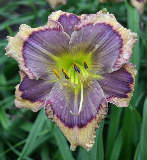 Building On Tradition