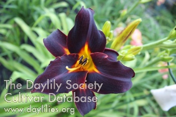 Threat Level Midnight