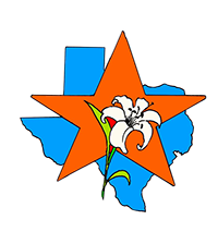 Lone Star Logo