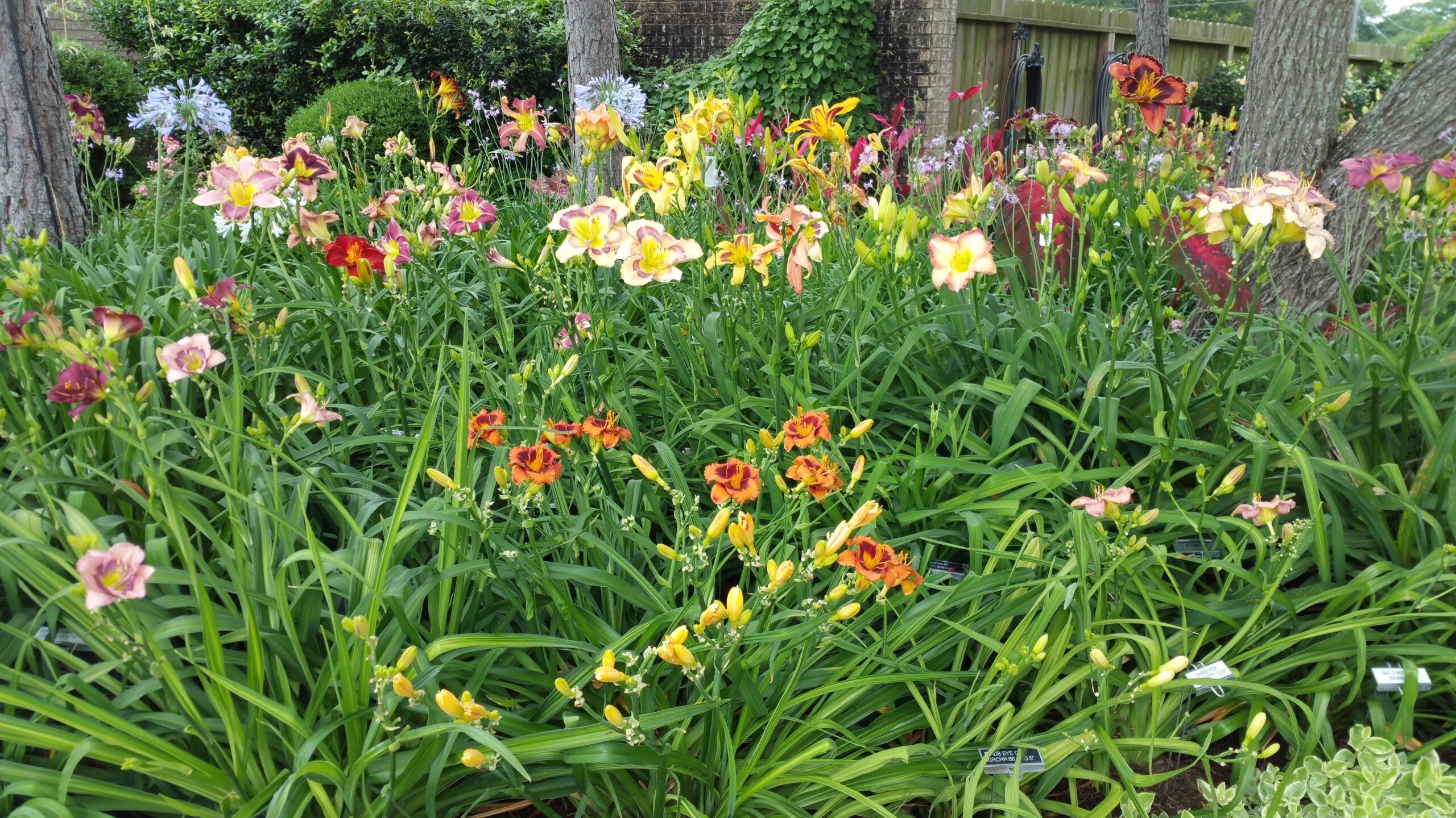 Loris Garrett & Sandy Roberts Garden