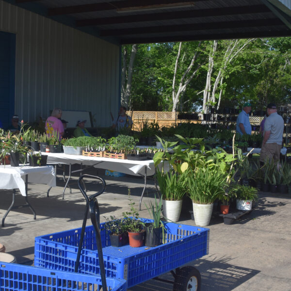 LSDS Spring Plant Sale